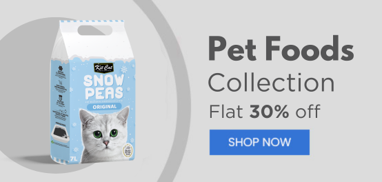 headphone collection