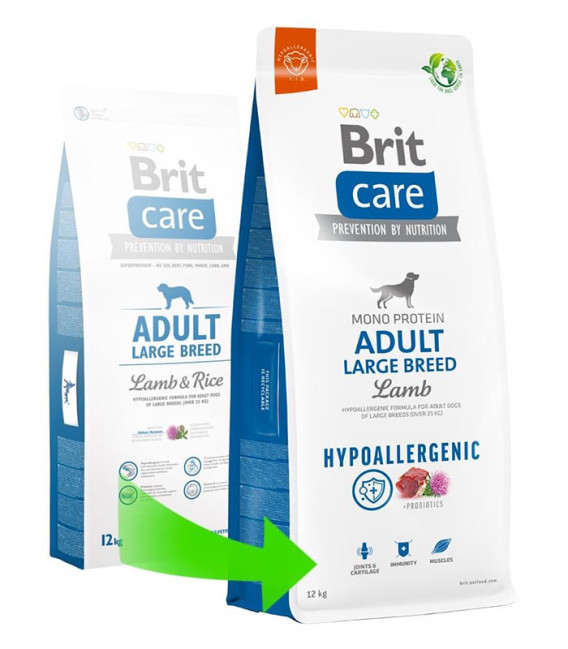 Womens Party Wear Shoes