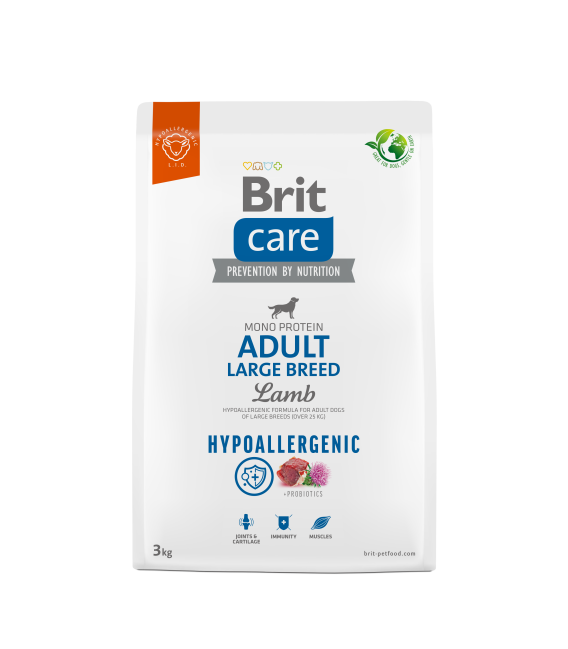 Boot With Suede Detail