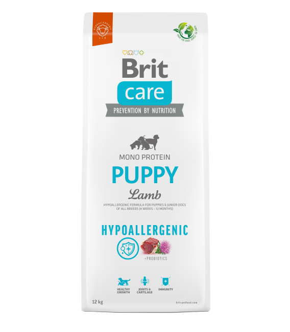 men's leather formal wear shoes