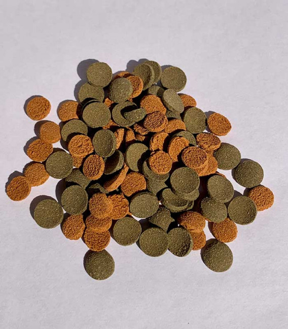 pure garment dyed cotton shirt