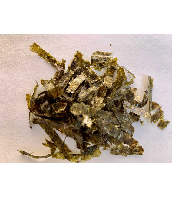 Trekking & Running Shoes - black